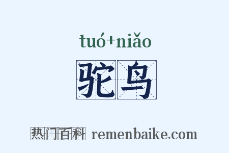 驼鸟是什么意思的图片